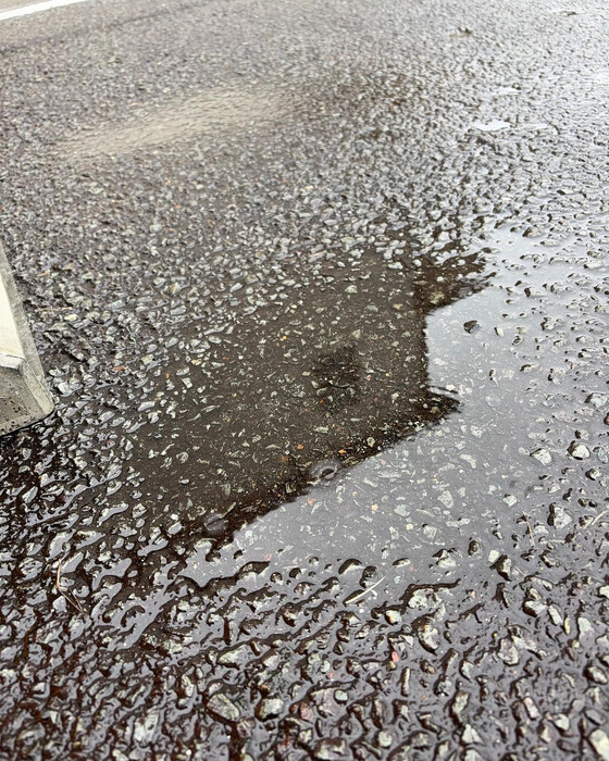 画像275