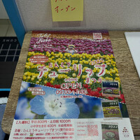 画像311