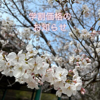 画像323