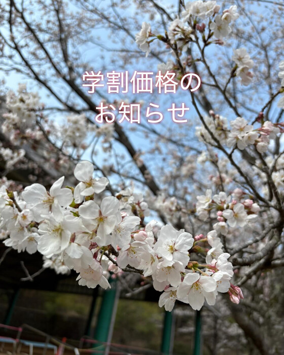 画像323