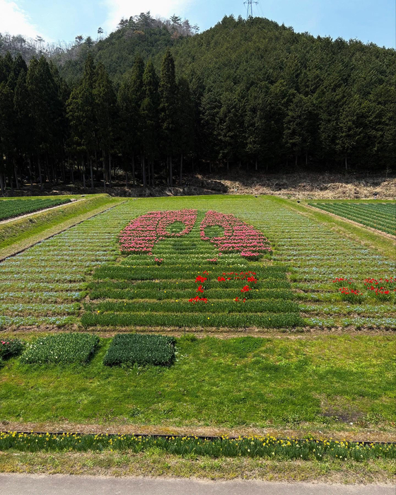 画像332