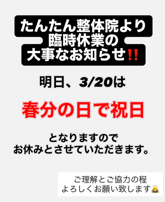画像558