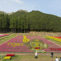 画像574