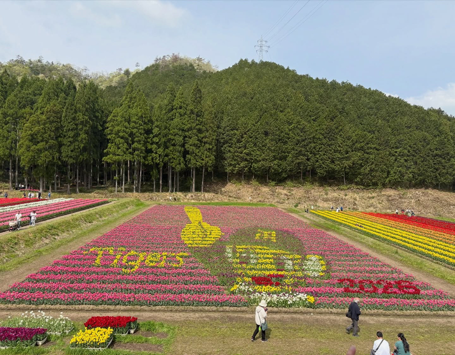 画像574
