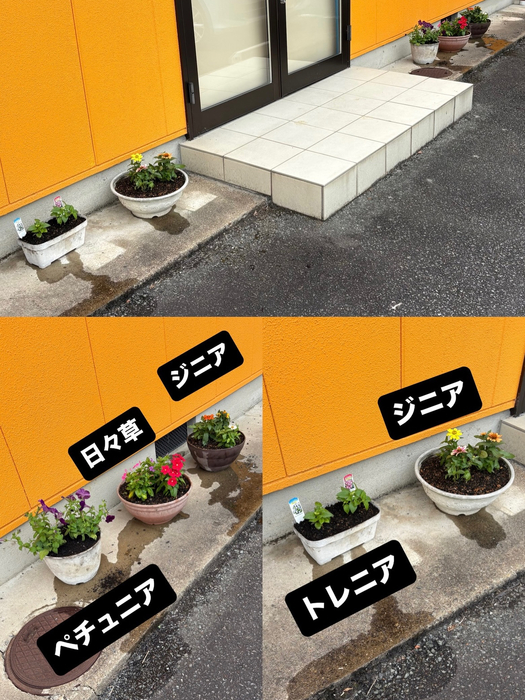 画像600