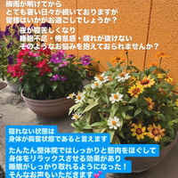 画像616
