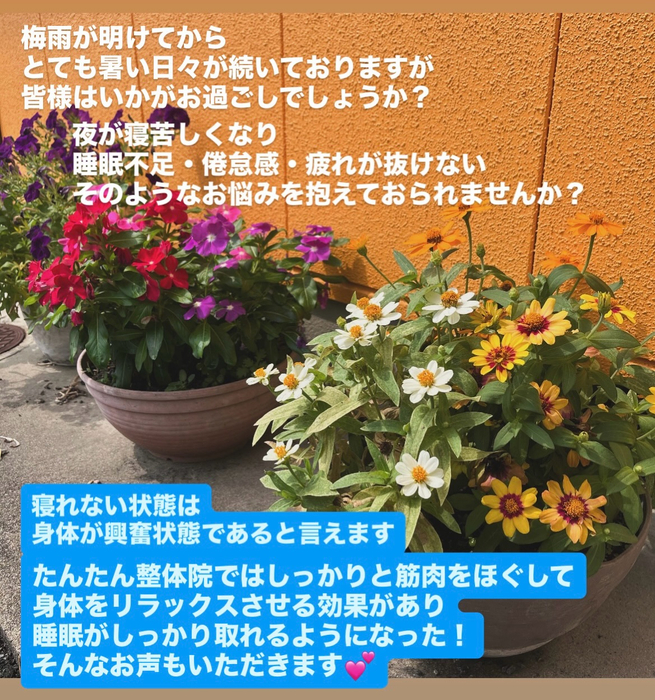 画像616