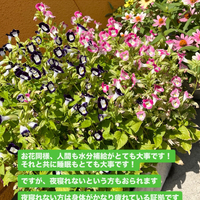 画像628