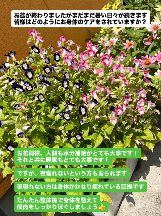 画像628